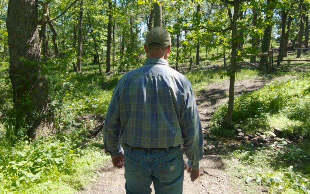 Dave Heilman – Organic Farmer