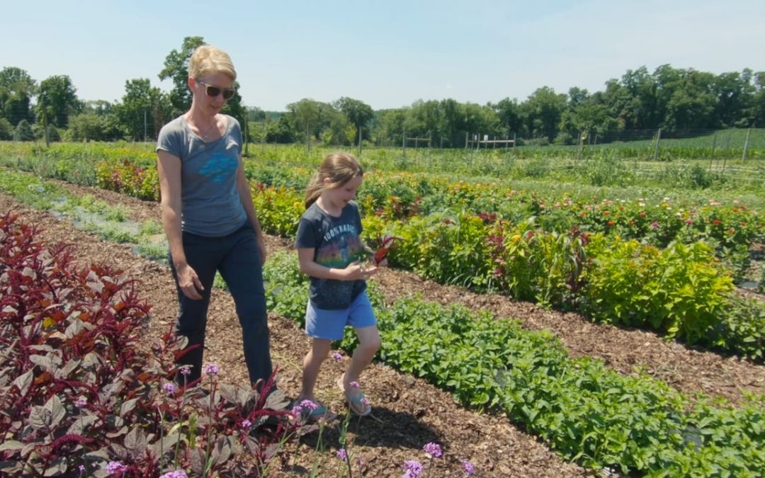 Grow Clean Water – the Rodale Institute / Stroud Water Research Center / William Penn Foundation
